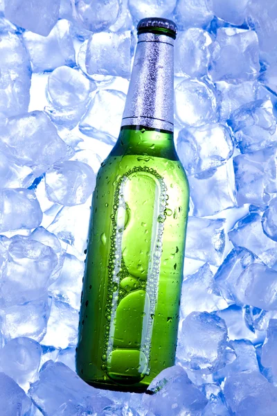 Bier liegt im Eis — Stockfoto