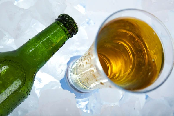 A cerveja está no gelo. — Fotografia de Stock