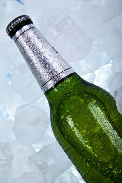 Η μπύρα είναι στον πάγο. — Φωτογραφία Αρχείου