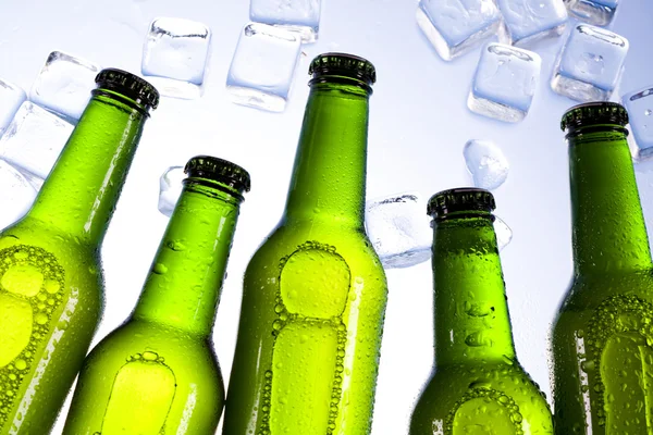 stock image Beer is in ice