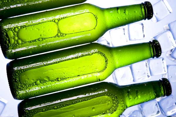 Bira şişeleri — Stok fotoğraf