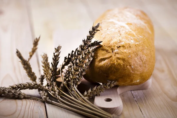 Mélange de pain — Photo