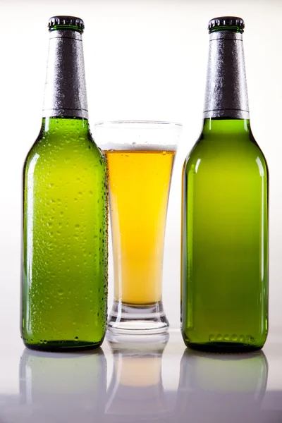 Zátiší s pivem — Stock fotografie