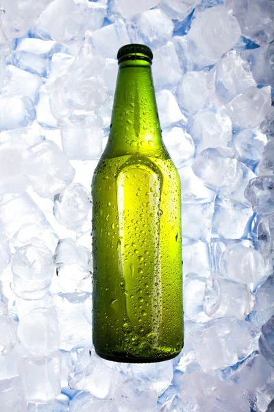 Drie verse bieren met ijs — Stockfoto