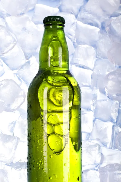 Drei frische Biere mit Eis — Stockfoto