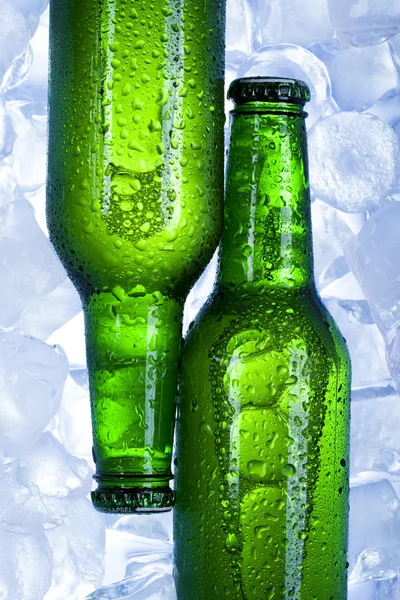 Three fresh beers with ice — Stock Photo, Image