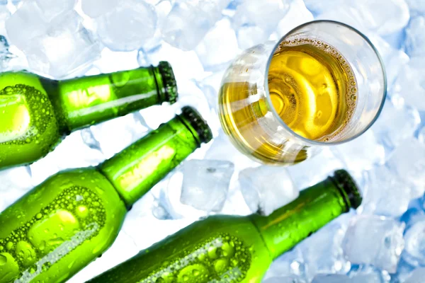 Beer is in ice — Stock Photo, Image
