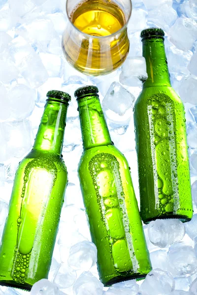 Μπουκάλι μπύρας και γυαλί — Φωτογραφία Αρχείου