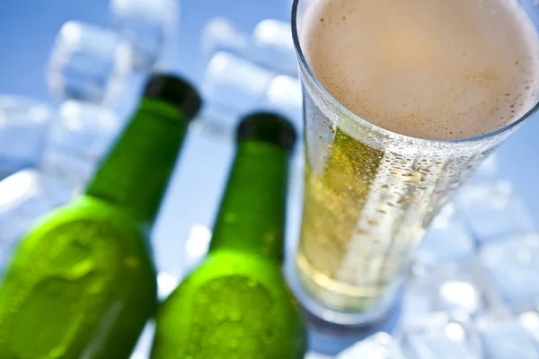 stock image Bottles Of Beer