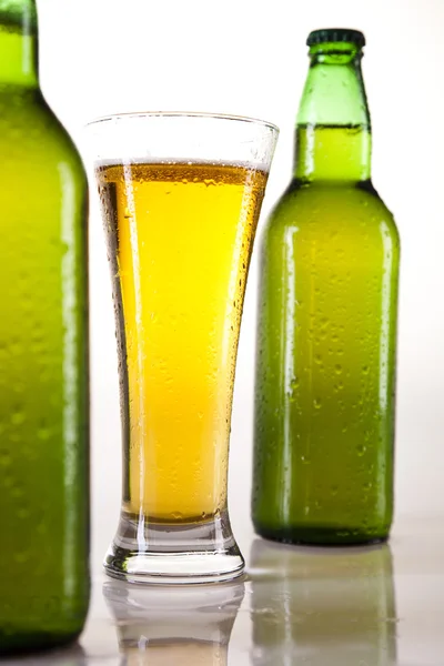 Коллекция пива, бутылки и стекла — стоковое фото