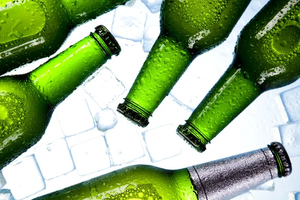 Cold beer bottle — стоковое фото