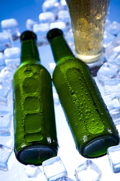 Cold beer bottle — стоковое фото