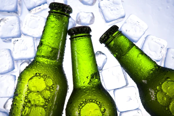 Kalte Bierflasche — Stockfoto