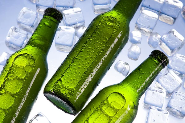Cold beer bottle — Stock Photo, Image