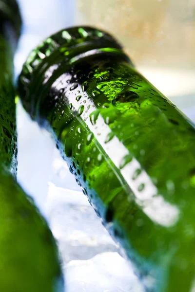 Beer is in ice — Stock Photo, Image