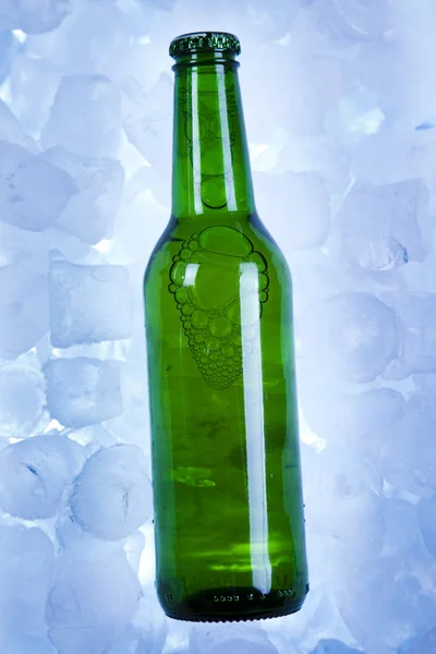 啤酒在冰里 — 图库照片