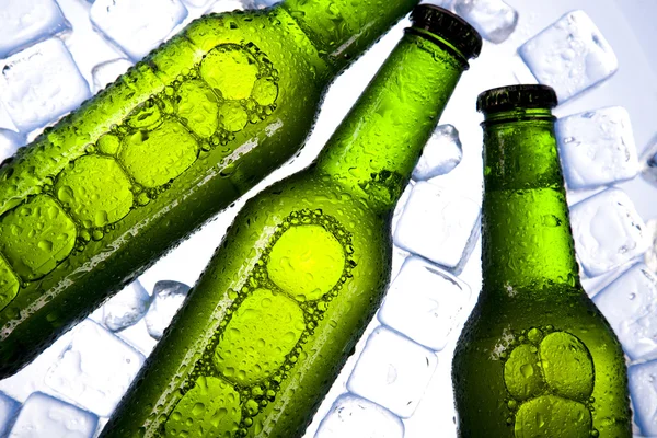 Три свіжих пива з льодом — стокове фото