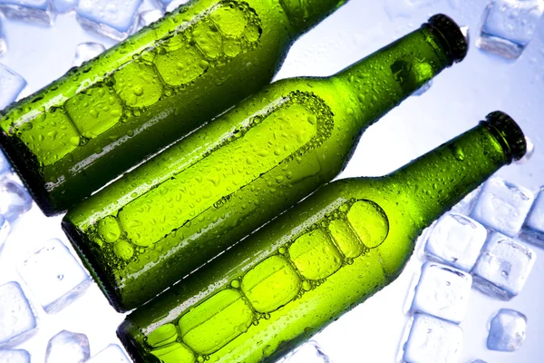 stock image Beer is in ice