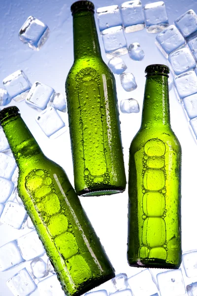 얼음이 달린 신선 한 맥주 세 개 — 스톡 사진