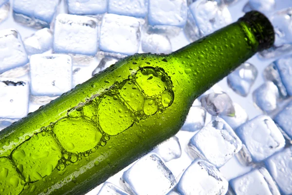 Tres cervezas frescas con hielo —  Fotos de Stock