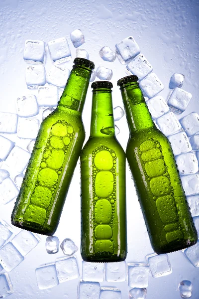 ビールは氷の中だ — ストック写真