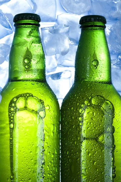 Jégben a sör. — Stock Fotó