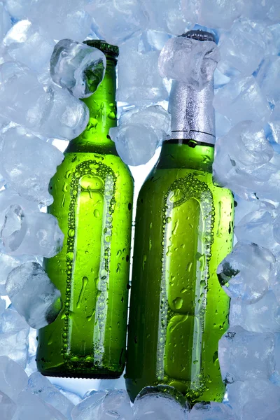 Three fresh beers with ice — Stock Photo, Image
