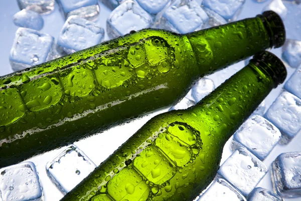 Beer is in ice Stock Image