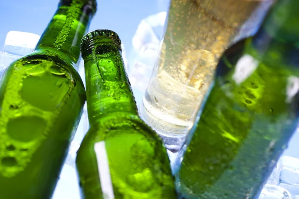 Cold beer bottle Stock Photo