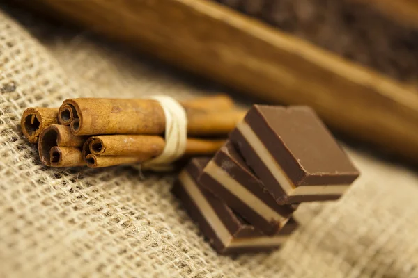 Cinnamon and Chocolate — Stock Photo, Image