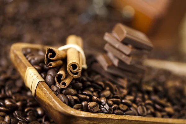 stock image Coffee beans