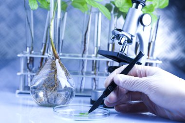 Plant laboratory clipart