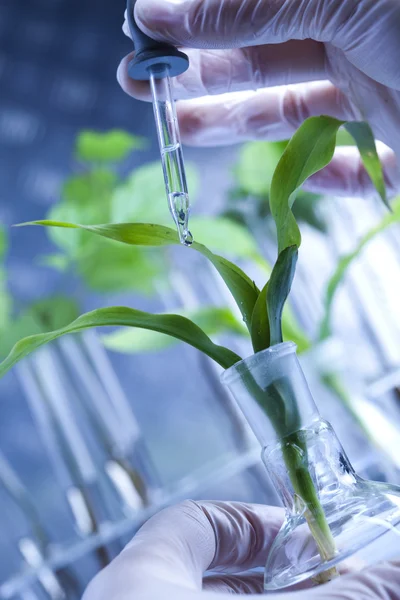 Kemiska laboratorieutrustning glas, ekologi — Stockfoto