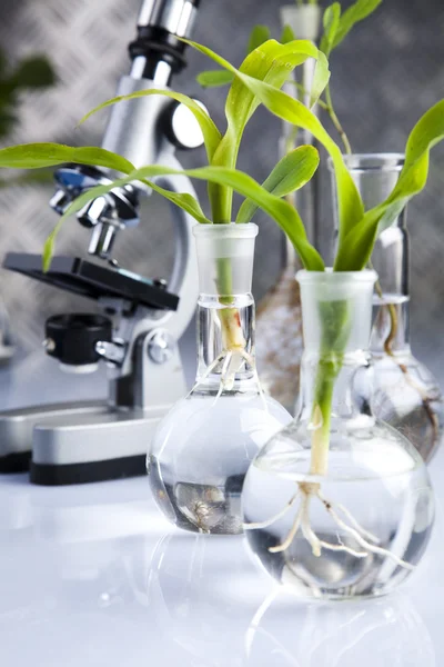 Химическое лабораторное стекло, экология — стоковое фото