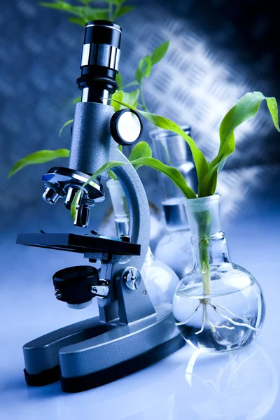 Plant laboratory — Zdjęcie stockowe