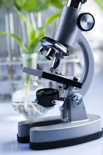 Plant laboratory — Stock Photo, Image