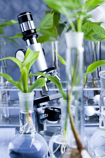 Floral wetenschap in laboratorium — Stockfoto