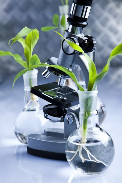 Eco laboratory — Stock Photo, Image