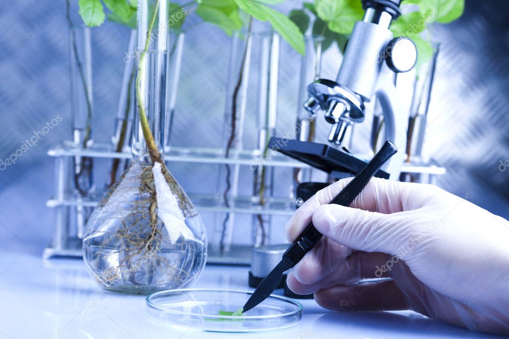 Plant laboratory — Stock Photo © JanPietruszka 7423019