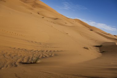 çöl manzarası, merzouga, marocco