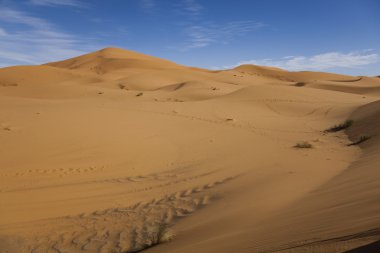 Fas çöl dune, merzouga