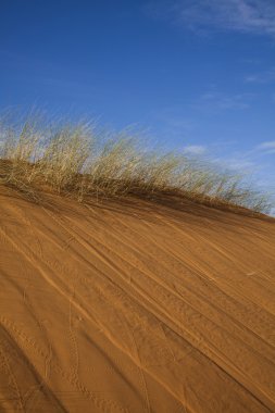 Fas'taki çöl dunes