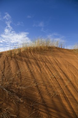 çöl manzarası, merzouga, marocco