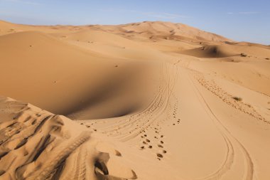 Fas çöl dune, merzouga