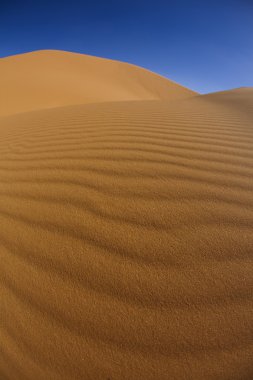 Fas çöl dune, merzouga