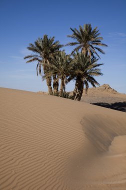 Fas çöl dune, merzouga