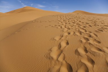 Fas çöl dune, merzouga