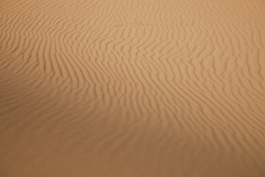 Fas çöl dune, merzouga