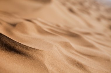 Sahara çöl, merzouga