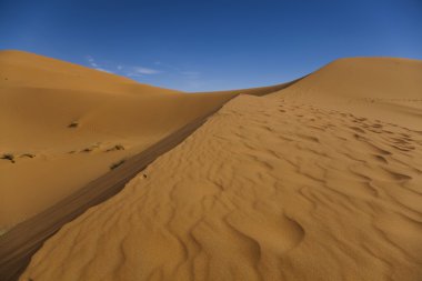 Sahara çöl, merzouga